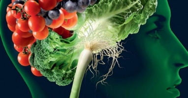 Photo of Top 10 Thực phẩm bổ dưỡng cho não và tăng cường trí thông minh tốt nhất